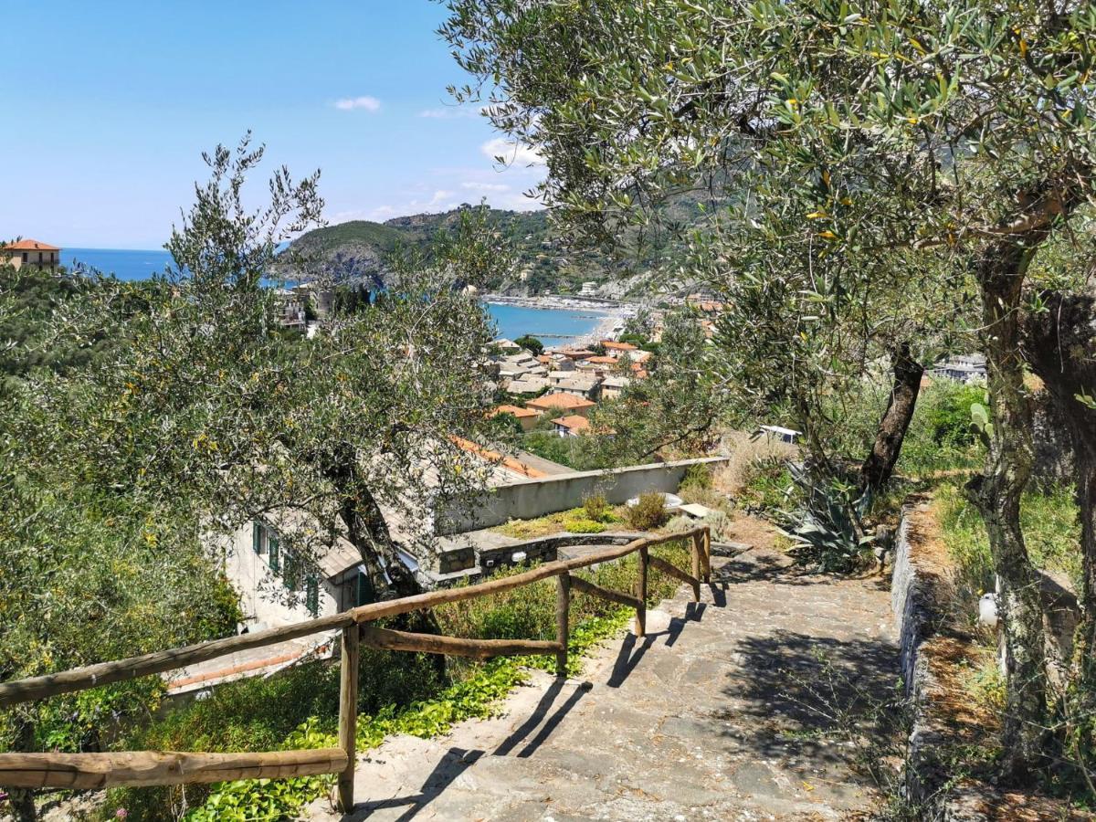Il Frantoio Del Mesco - เลวานโต ภายนอก รูปภาพ